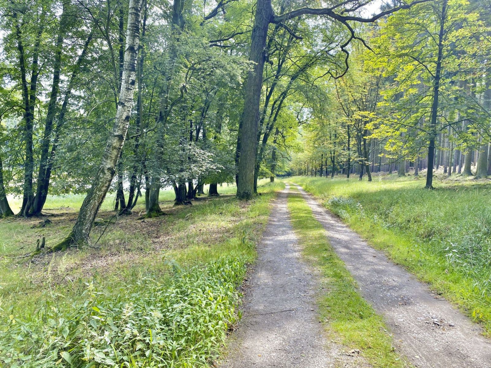Predaj bytu 3-izbový 90 m², Jabkenice, Středočeský kraj Predaj bytu 3-izbový 90 m², Jabkenice, Středočeský kraj
