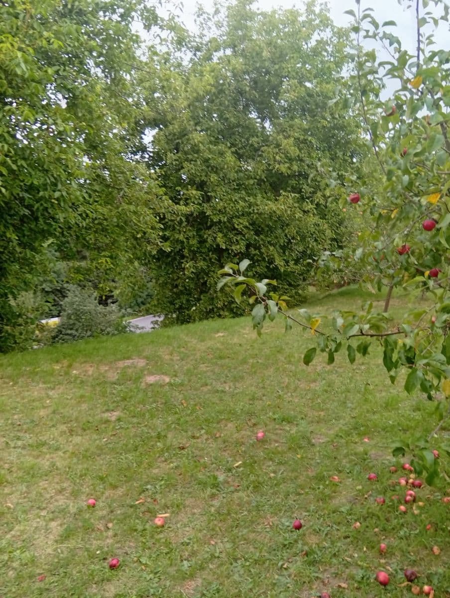 Predaj pozemku 1.400 m², Na Odboji, Březnice, Středočeský kraj Predaj pozemku 1.400 m², Na Odboji, Březnice, Středočeský kraj