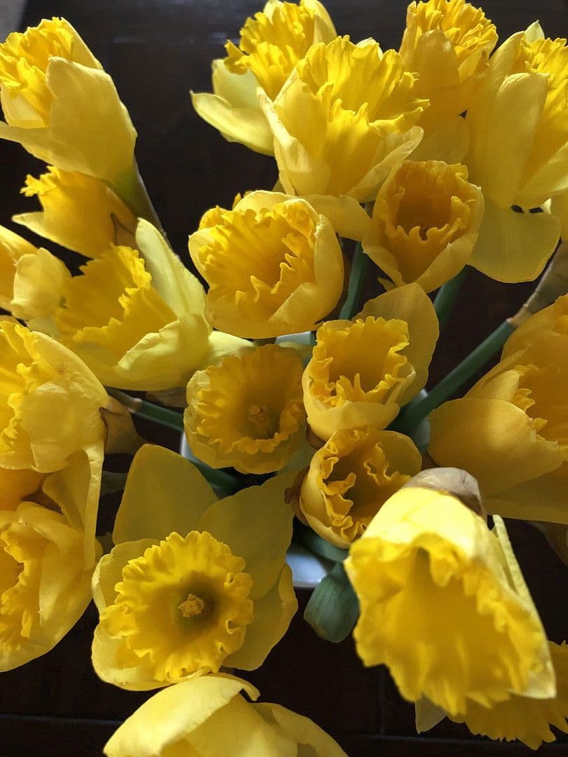 Predaj bytu 5-izbový 160 m², Rottenburg am Neckar, Bádensko-Wurttembersko Predaj bytu 5-izbový 160 m², Rottenburg am Neckar, Bádensko-Wurttembersko