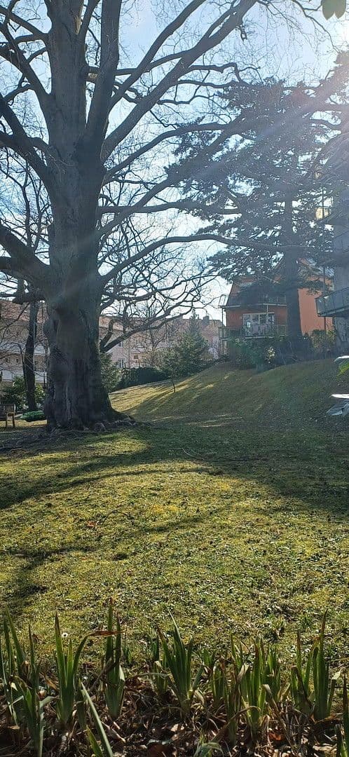 Predaj bytu 4-izbový 112 m², An der Goldenen Stiege, Mödling, Dolné Rakúsko Predaj bytu 4-izbový 112 m², An der Goldenen Stiege, Mödling, Dolné Rakúsko