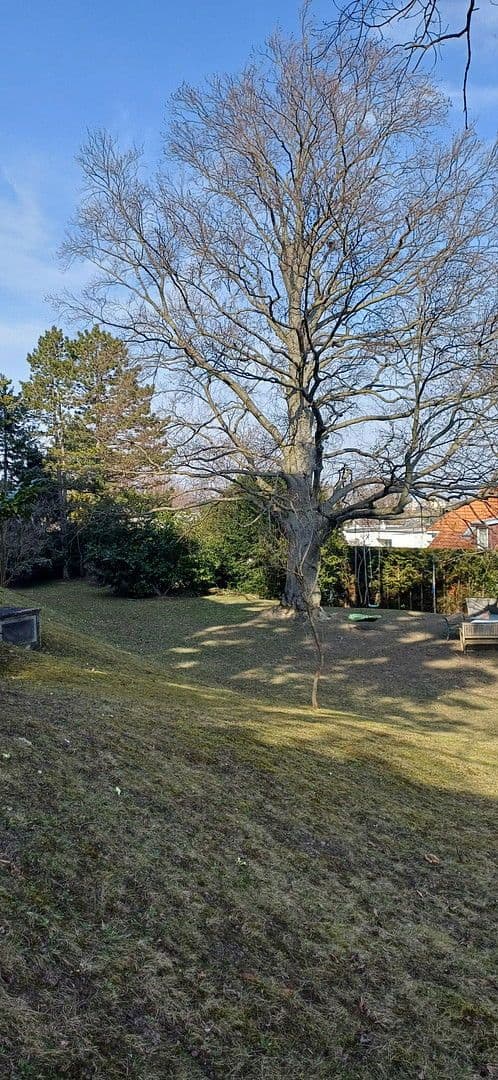 Predaj bytu 4-izbový 112 m², An der Goldenen Stiege, Mödling, Dolné Rakúsko Predaj bytu 4-izbový 112 m², An der Goldenen Stiege, Mödling, Dolné Rakúsko