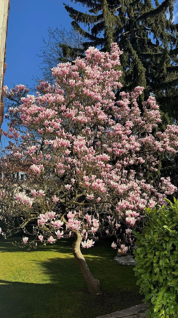 Predaj domu 125 m², pozemek 515 m², Ansbach, Bavorsko Predaj domu 125 m², pozemek 515 m², Ansbach, Bavorsko