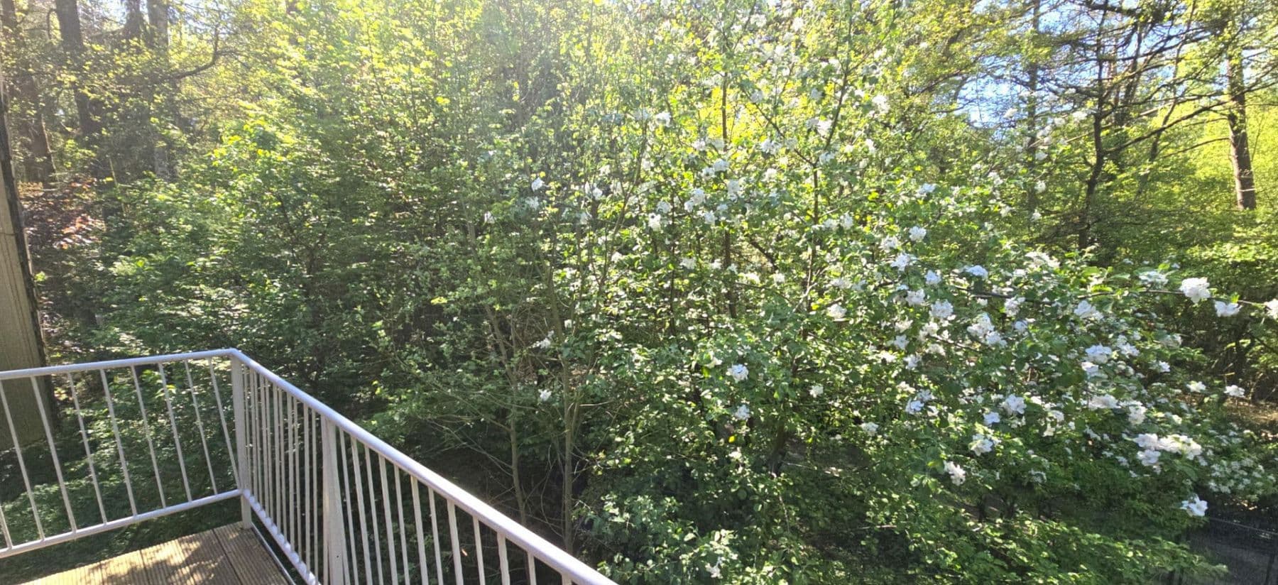 Predaj domu 420 m², pozemek 5.300 m², Wennerstorfer Kirchweg, Wenzendorf, Dolné Sasko Predaj domu 420 m², pozemek 5.300 m², Wennerstorfer Kirchweg, Wenzendorf, Dolné Sasko