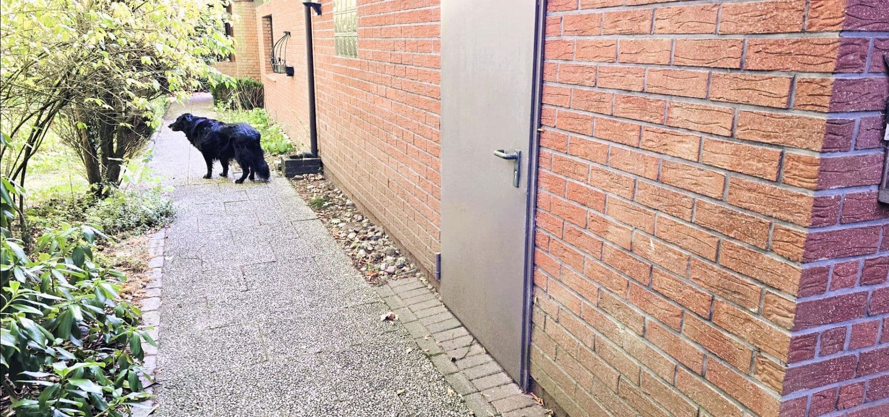 Predaj domu 420 m², pozemek 5.300 m², Wennerstorfer Kirchweg, Wenzendorf, Dolné Sasko Predaj domu 420 m², pozemek 5.300 m², Wennerstorfer Kirchweg, Wenzendorf, Dolné Sasko