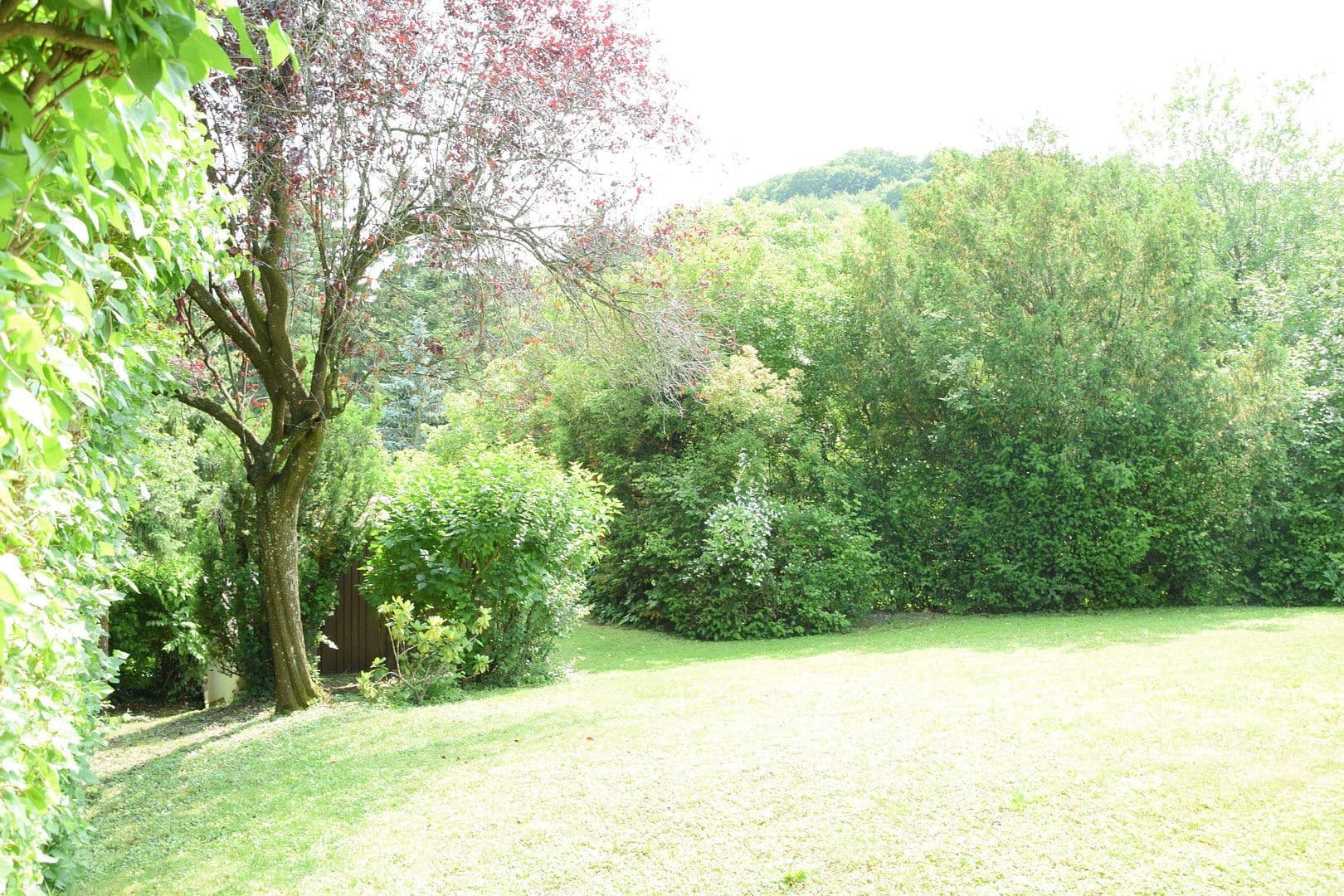 Predaj domu 250 m², pozemek 1.113 m², Niederwaldstraße 22, Eichgraben, Dolné Rakúsko Predaj domu 250 m², pozemek 1.113 m², Niederwaldstraße 22, Eichgraben, Dolné Rakúsko