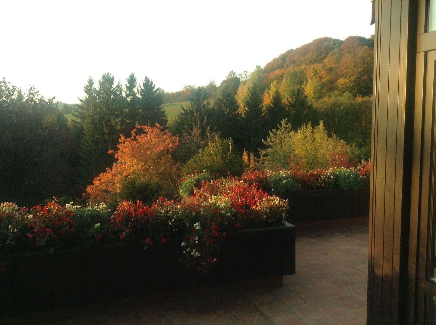 Predaj domu 250 m², pozemek 1.113 m², Niederwaldstraße 22, Eichgraben, Dolné Rakúsko Predaj domu 250 m², pozemek 1.113 m², Niederwaldstraße 22, Eichgraben, Dolné Rakúsko