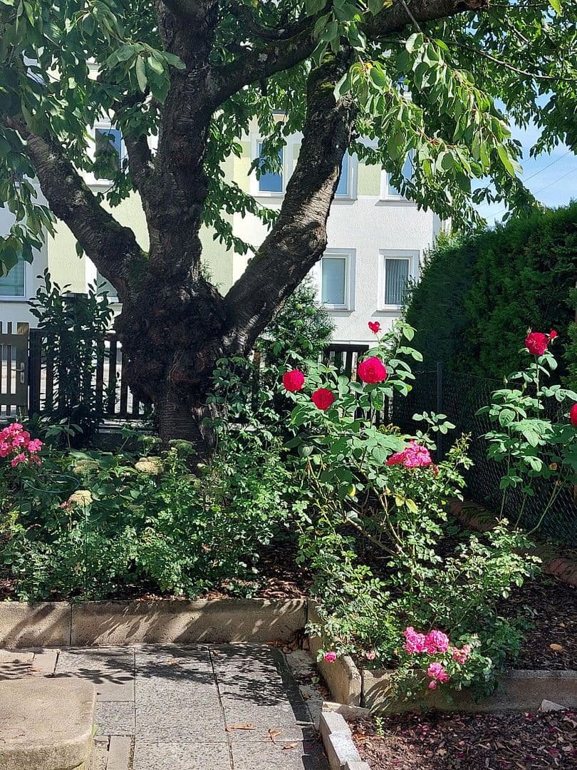 Predaj domu 247 m², pozemek 710 m², Mühlau, Sasko Predaj domu 247 m², pozemek 710 m², Mühlau, Sasko