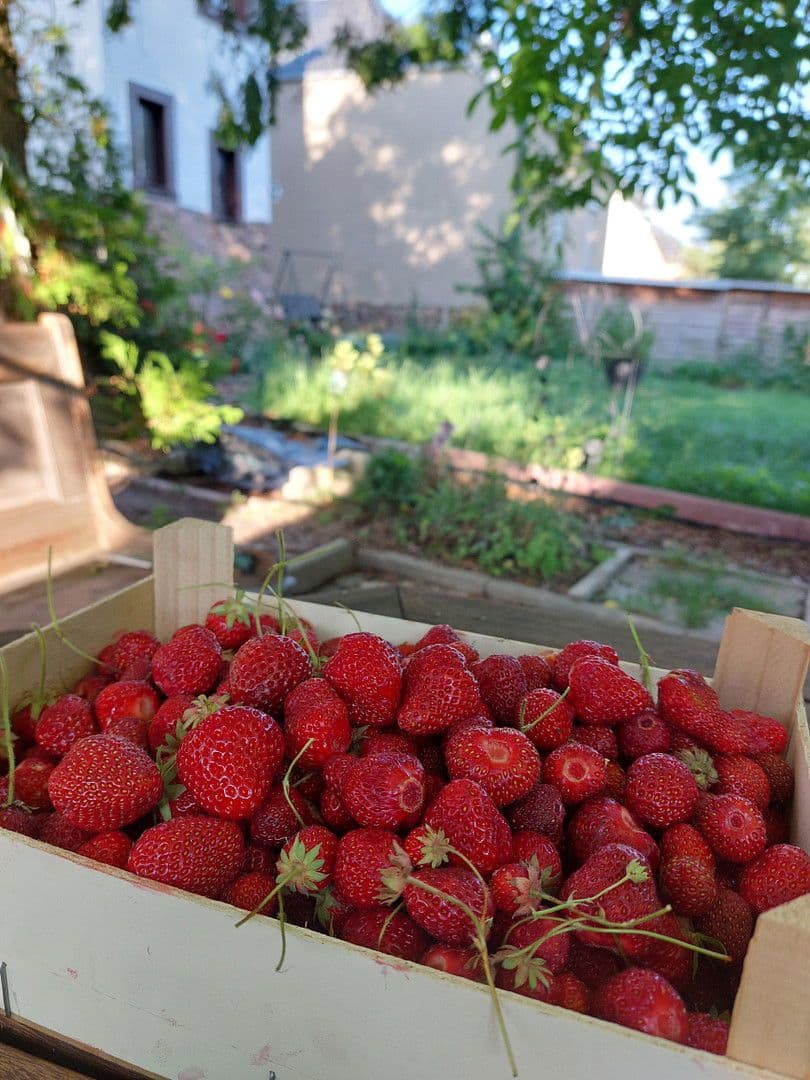 Predaj domu 247 m², pozemek 710 m², Mühlau, Sasko Predaj domu 247 m², pozemek 710 m², Mühlau, Sasko