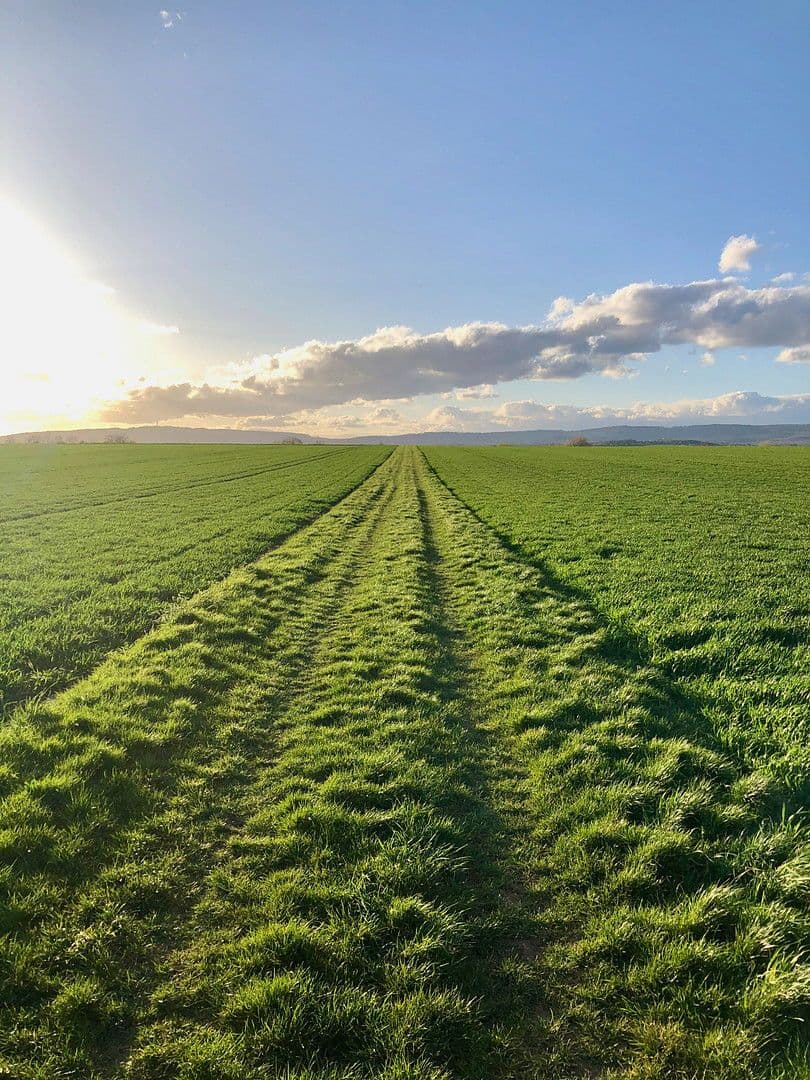 Predaj domu 139 m², pozemek 122 m², Rotkehlchenweg 134, Wiesbaden-Nordenstadt, Hesensko Predaj domu 139 m², pozemek 122 m², Rotkehlchenweg 134, Wiesbaden-Nordenstadt, Hesensko