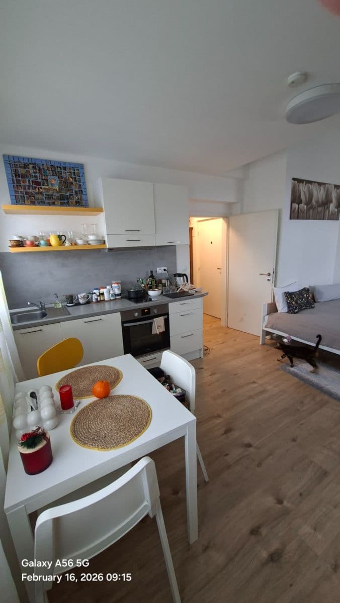 Prenájom bytu 1-izbový 26 m², Budějovická, Praha, Praha Prenájom bytu 1-izbový 26 m², Budějovická, Praha, Praha