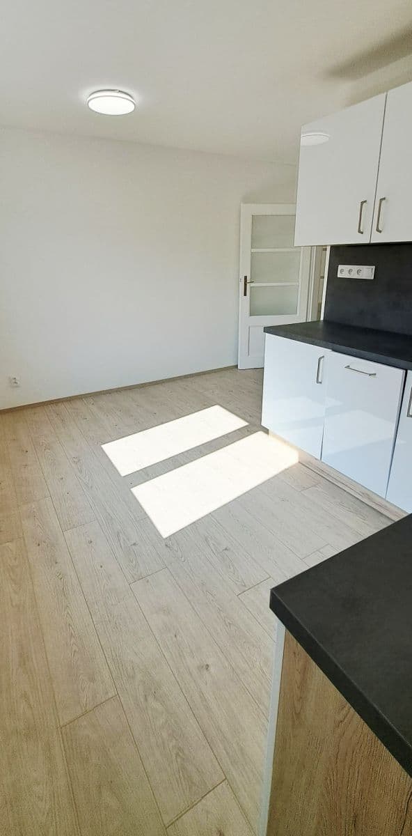 Prenájom bytu 1-izbový 50 m², Na Jíkalce, Plzeň, Plzeňský kraj Prenájom bytu 1-izbový 50 m², Na Jíkalce, Plzeň, Plzeňský kraj