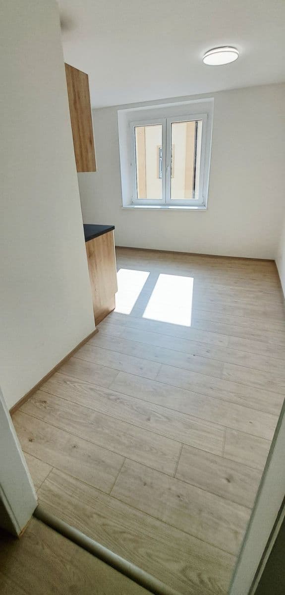 Prenájom bytu 1-izbový 50 m², Na Jíkalce, Plzeň, Plzeňský kraj Prenájom bytu 1-izbový 50 m², Na Jíkalce, Plzeň, Plzeňský kraj