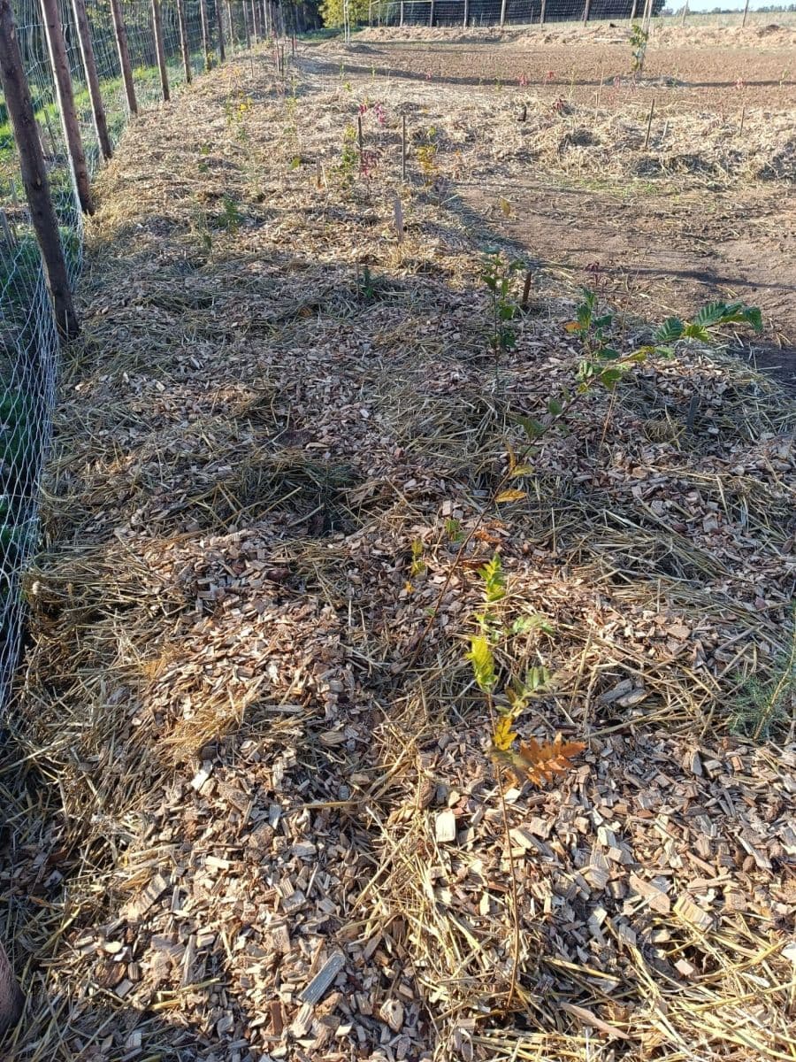 Prenájom pozemku 1.400 m², Třebonín, Středočeský kraj Prenájom pozemku 1.400 m², Třebonín, Středočeský kraj
