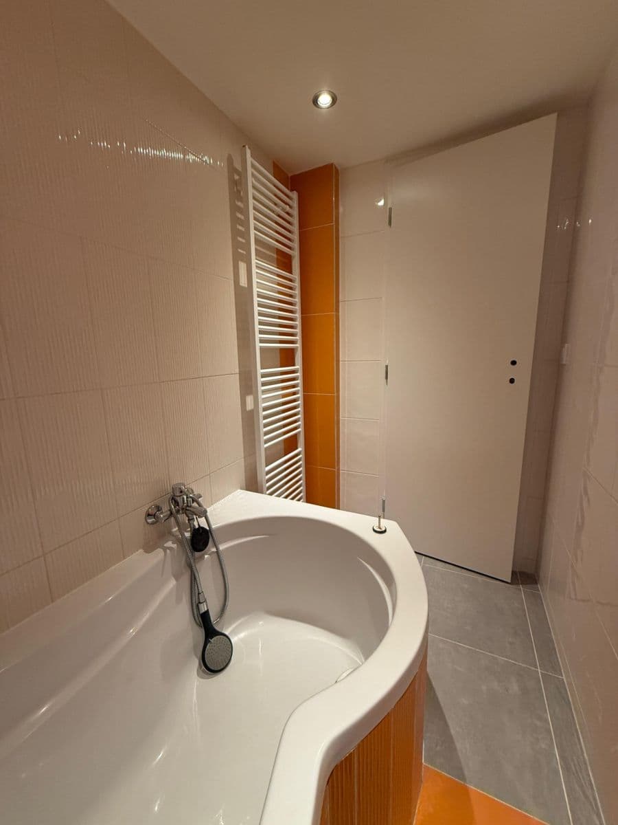 Prenájom bytu Garsoniéra 15 m², Radlická, Praha, Praha Prenájom bytu Garsoniéra 15 m², Radlická, Praha, Praha