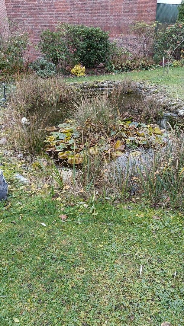 Predaj domu 130 m², pozemek 1.000 m², Hollern-Twielenfleth, Dolné Sasko Predaj domu 130 m², pozemek 1.000 m², Hollern-Twielenfleth, Dolné Sasko