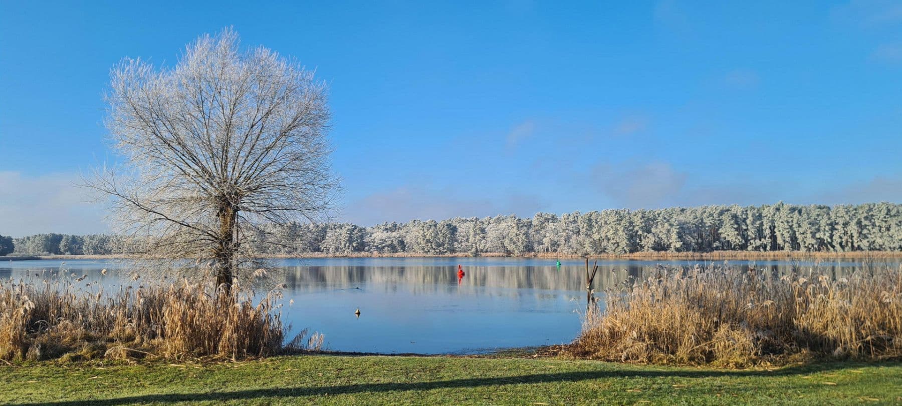 Predaj domu 157 m², pozemek 1.050 m², Dorfstraße 7, Havelsee, Brandenbursko Predaj domu 157 m², pozemek 1.050 m², Dorfstraße 7, Havelsee, Brandenbursko