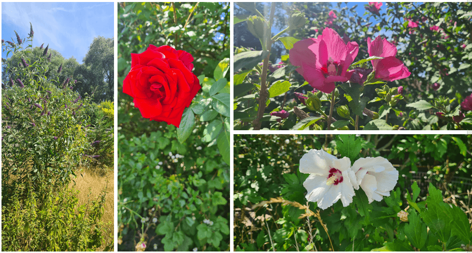 Predaj domu 157 m², pozemek 1.050 m², Dorfstraße 7, Havelsee, Brandenbursko Predaj domu 157 m², pozemek 1.050 m², Dorfstraße 7, Havelsee, Brandenbursko