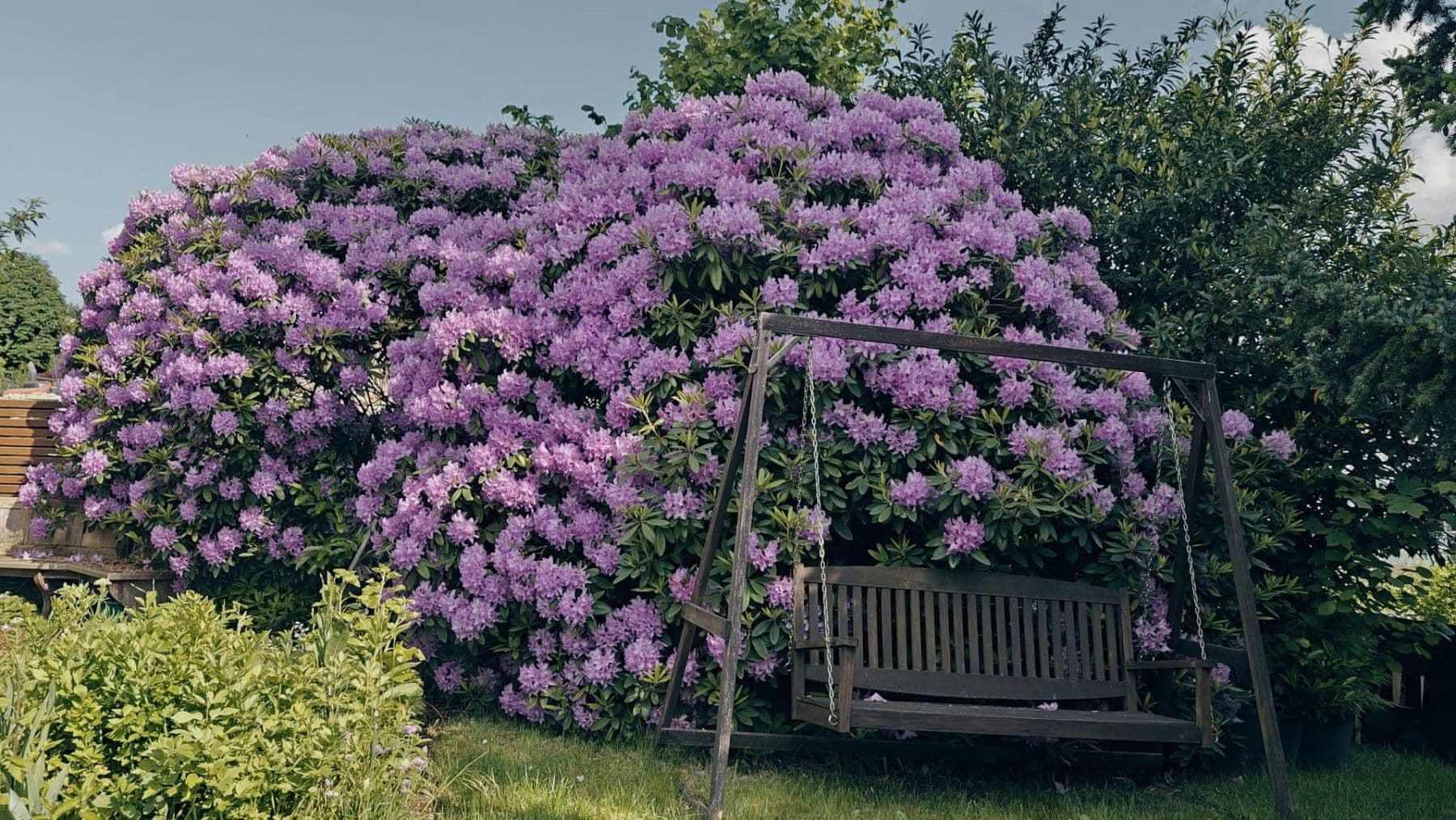 Predaj domu 493 m², pozemek 1.531 m², Glashütten, Hesensko Predaj domu 493 m², pozemek 1.531 m², Glashütten, Hesensko