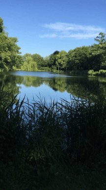 Predaj domu 329 m², pozemek 1.254 m², Glückstadt, Šlezvicko-Holštajnsko Predaj domu 329 m², pozemek 1.254 m², Glückstadt, Šlezvicko-Holštajnsko