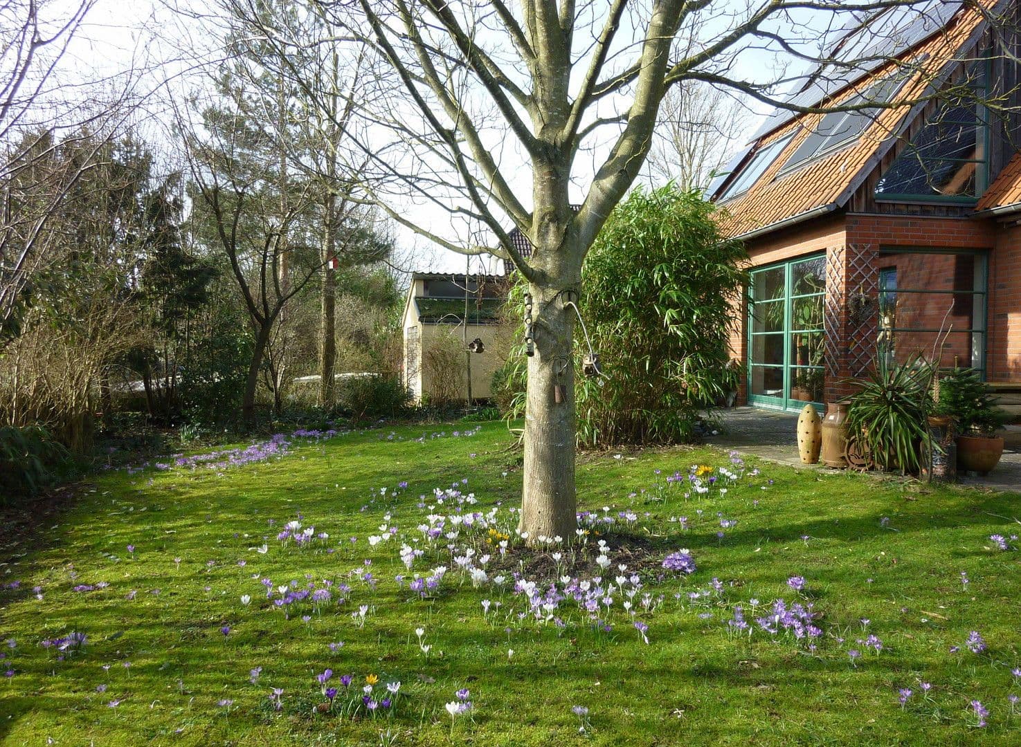 Predaj domu 145 m², pozemek 854 m², Haseldorf, Šlezvicko-Holštajnsko Predaj domu 145 m², pozemek 854 m², Haseldorf, Šlezvicko-Holštajnsko