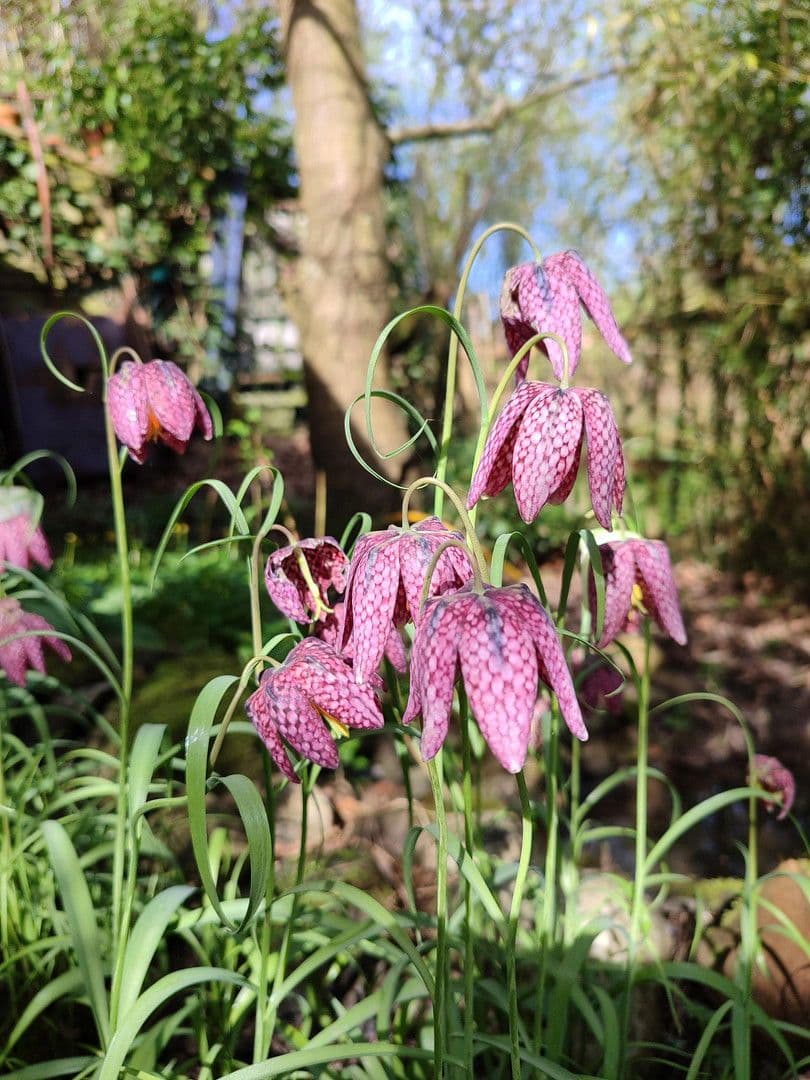 Predaj domu 145 m², pozemek 854 m², Haseldorf, Šlezvicko-Holštajnsko Predaj domu 145 m², pozemek 854 m², Haseldorf, Šlezvicko-Holštajnsko
