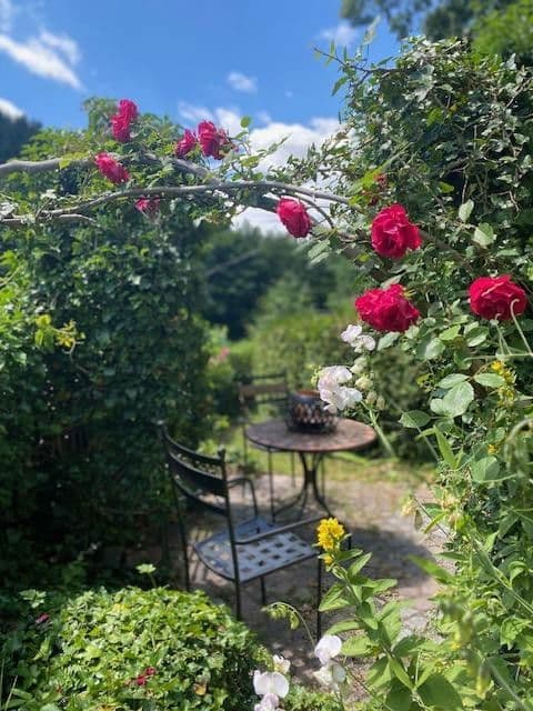 Prenájom bytu 3-izbový 50 m², Talstraße 2, Wolkenstein, Sasko Prenájom bytu 3-izbový 50 m², Talstraße 2, Wolkenstein, Sasko