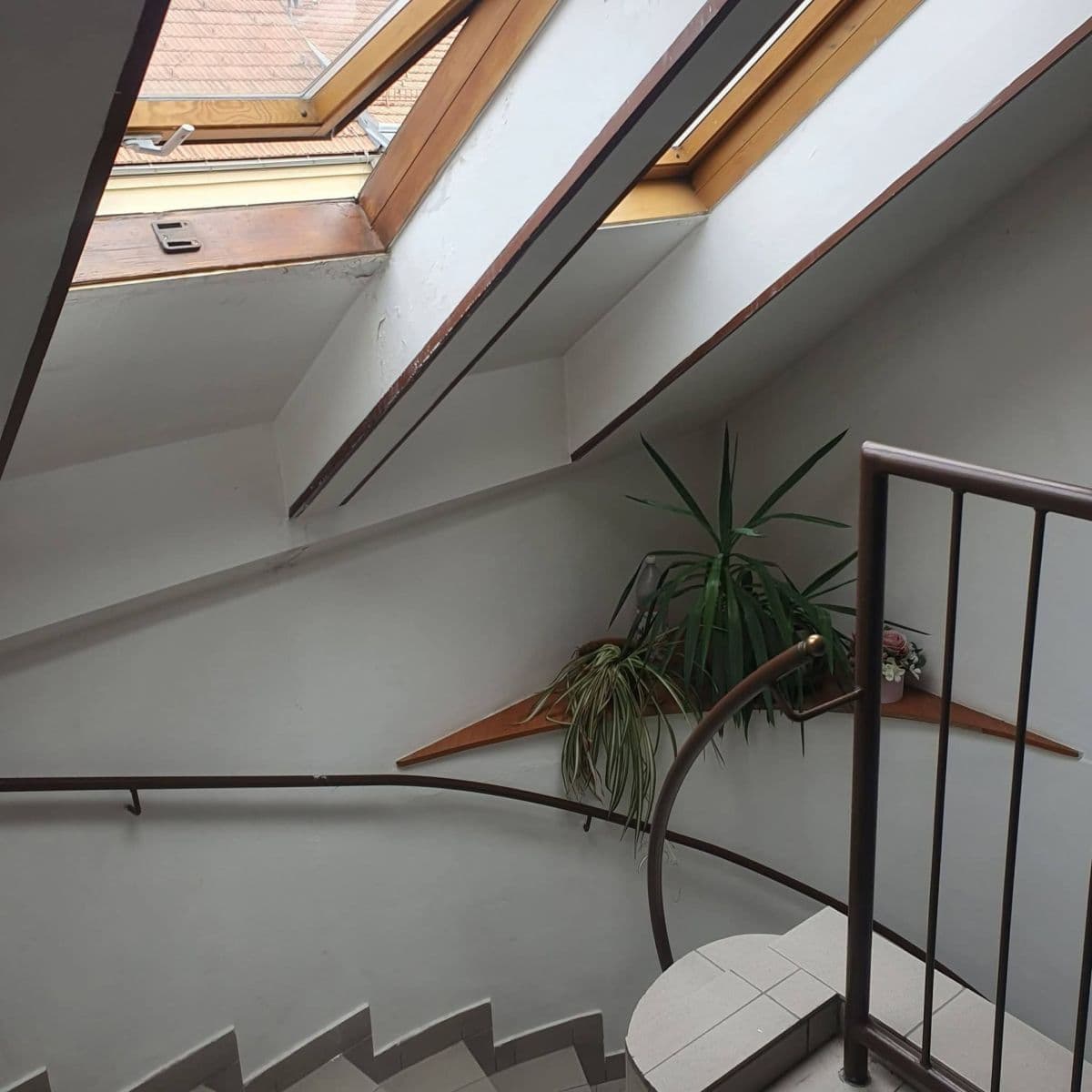 Prenájom bytu 4-izbový 140 m², Francouzská, Brno, Jihomoravský kraj Prenájom bytu 4-izbový 140 m², Francouzská, Brno, Jihomoravský kraj