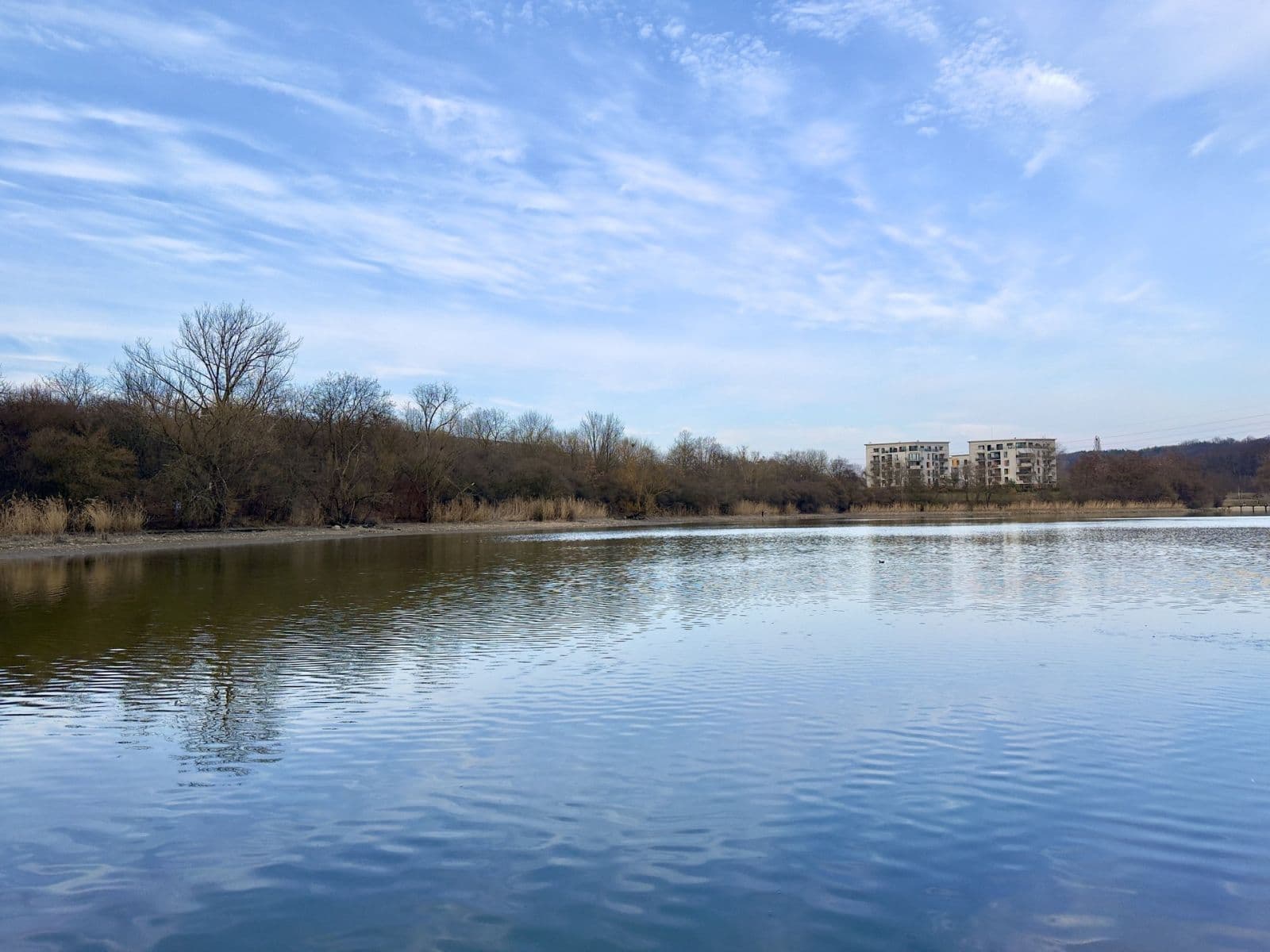 Prenájom bytu 1-izbový 33 m², Poděbradská, Praha, Praha Prenájom bytu 1-izbový 33 m², Poděbradská, Praha, Praha