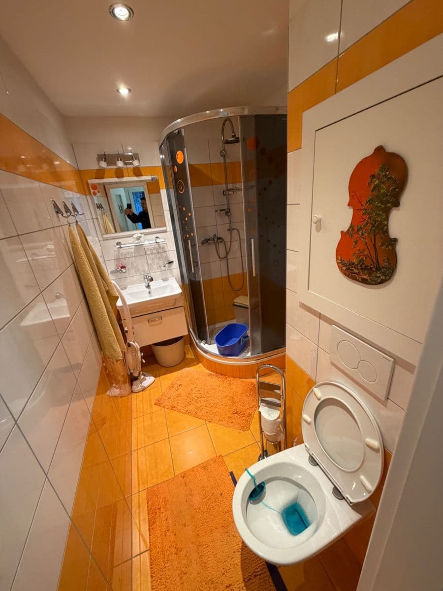 Prenájom bytu 2-izbový 60 m², Terezie Brzkové, Plzeň, Plzeňský kraj Prenájom bytu 2-izbový 60 m², Terezie Brzkové, Plzeň, Plzeňský kraj