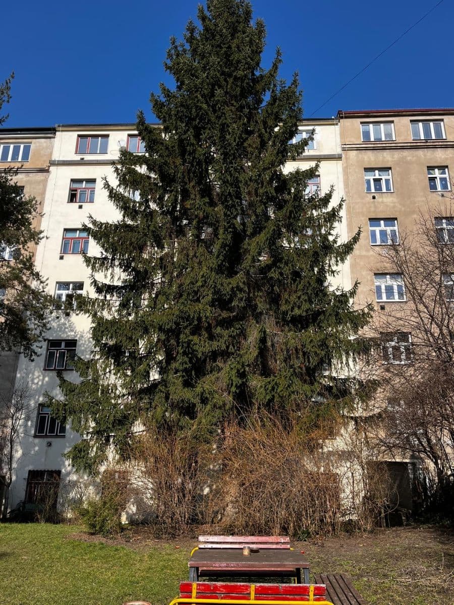 Predaj bytu 2-izbový 51 m², Biskupcova, Praha, Praha Predaj bytu 2-izbový 51 m², Biskupcova, Praha, Praha