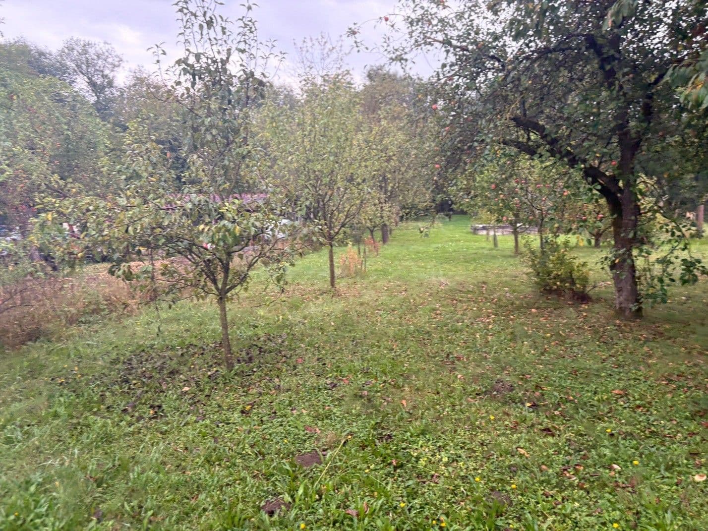 Predaj pozemku 890 m², Hranice, Olomoucký kraj Predaj pozemku 890 m², Hranice, Olomoucký kraj