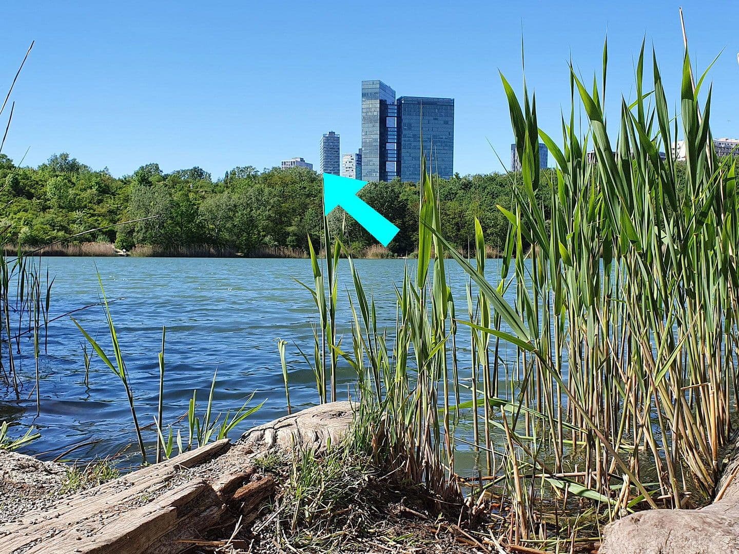 Predaj bytu 3-izbový 86 m², Carl-Appel-Straße 7, Wien, Viedeň Predaj bytu 3-izbový 86 m², Carl-Appel-Straße 7, Wien, Viedeň