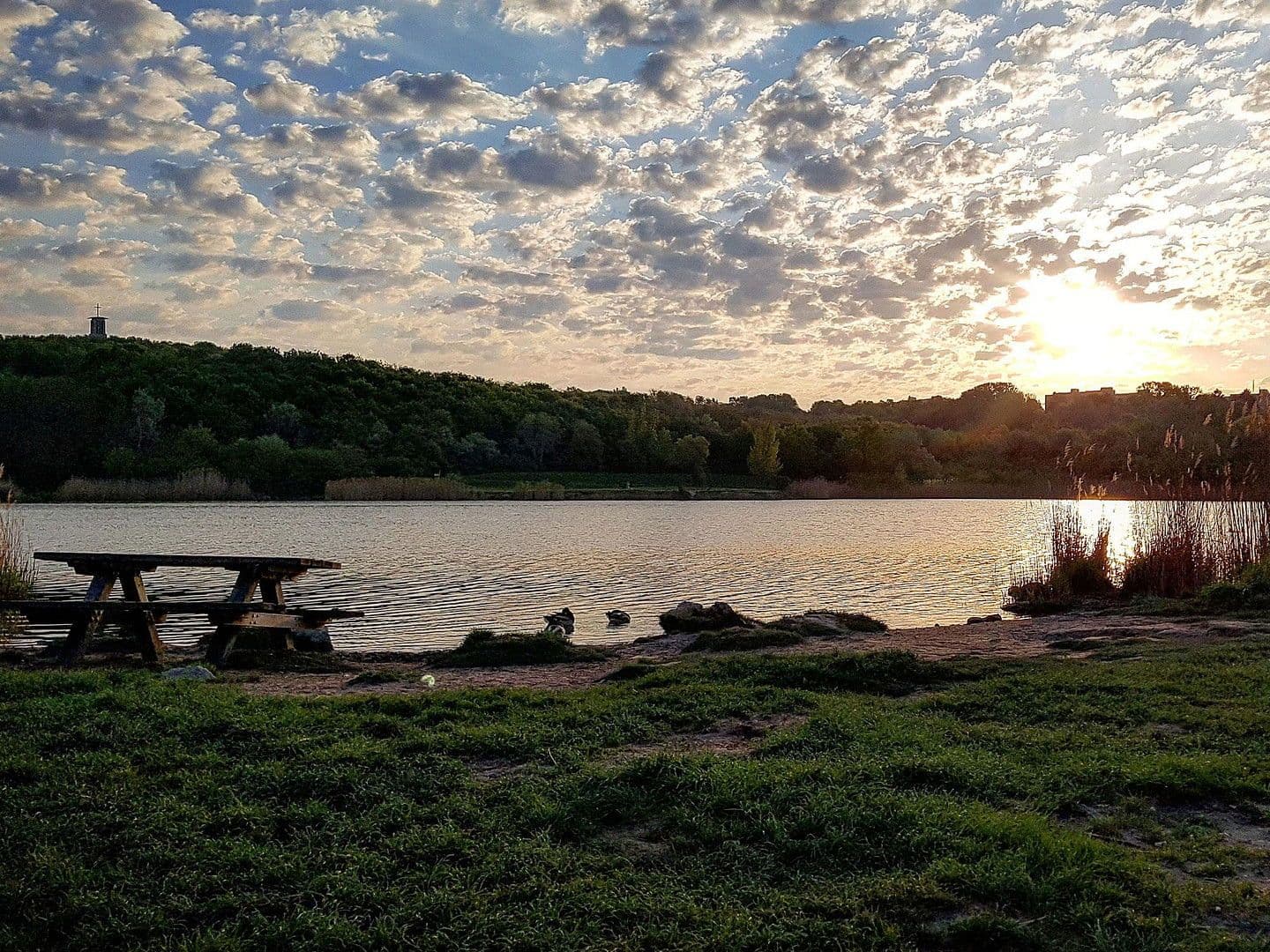 Predaj bytu 3-izbový 86 m², Carl-Appel-Straße 7, Wien, Viedeň Predaj bytu 3-izbový 86 m², Carl-Appel-Straße 7, Wien, Viedeň