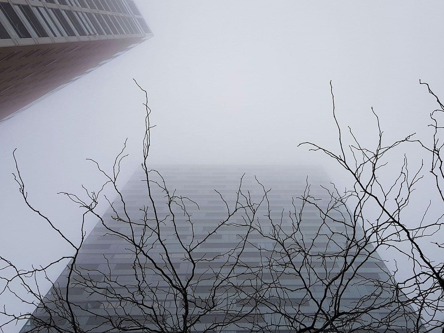 Predaj bytu 3-izbový 86 m², Carl-Appel-Straße 7, Wien, Viedeň Predaj bytu 3-izbový 86 m², Carl-Appel-Straße 7, Wien, Viedeň