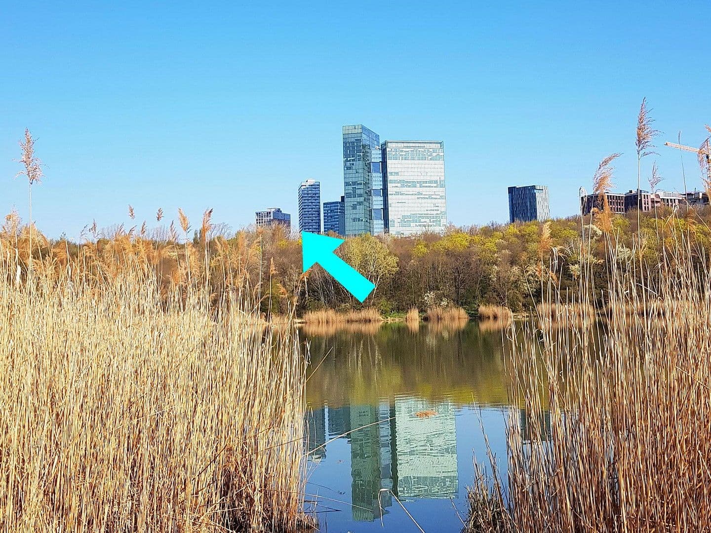 Predaj bytu 3-izbový 86 m², Carl-Appel-Straße 7, Wien, Viedeň Predaj bytu 3-izbový 86 m², Carl-Appel-Straße 7, Wien, Viedeň