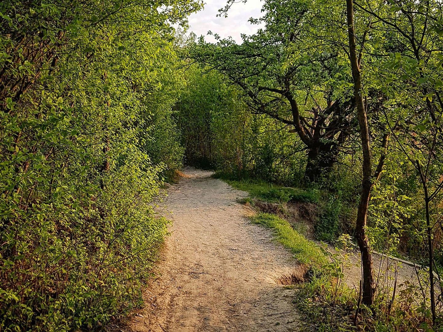 Predaj bytu 3-izbový 86 m², Carl-Appel-Straße 7, Wien, Viedeň Predaj bytu 3-izbový 86 m², Carl-Appel-Straße 7, Wien, Viedeň