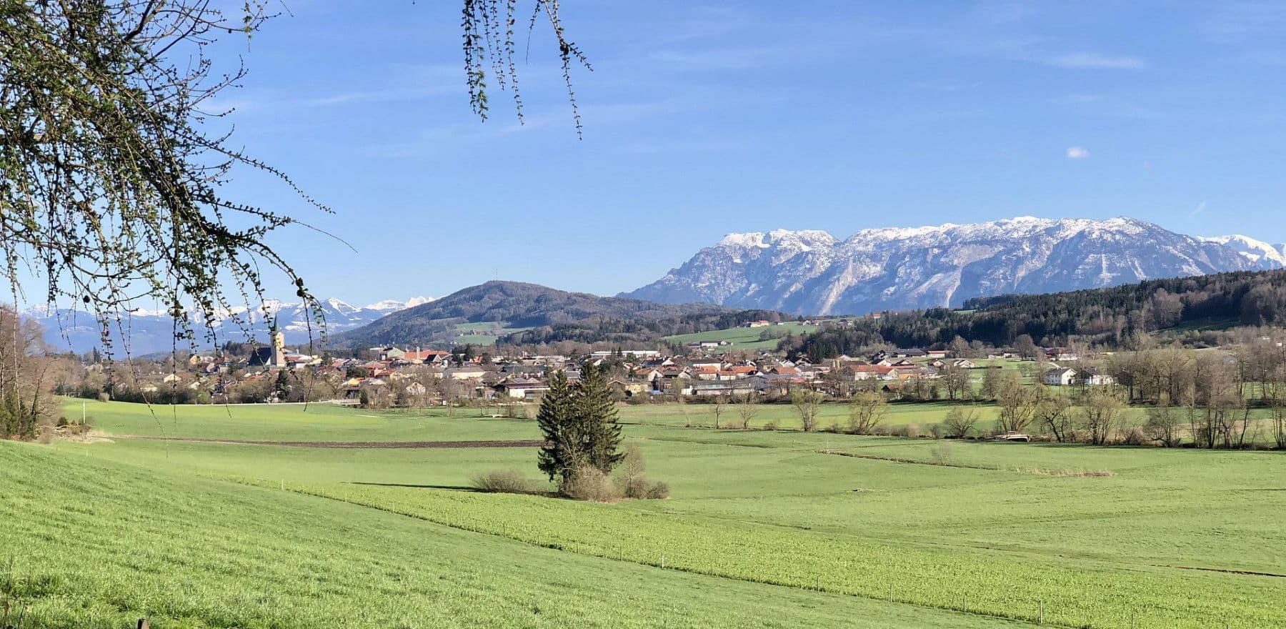 Predaj domu 209 m², pozemek 1.117 m², Frühlingstraße 8, Teisendorf, Bavorsko Predaj domu 209 m², pozemek 1.117 m², Frühlingstraße 8, Teisendorf, Bavorsko