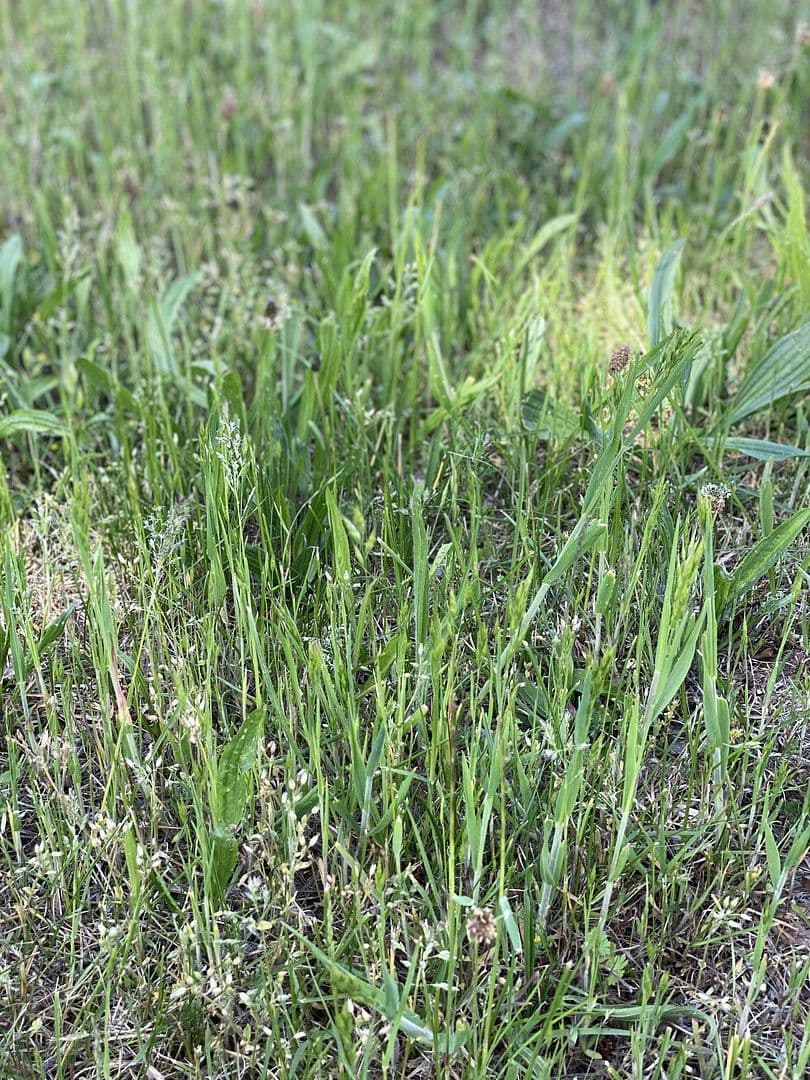 Predaj pozemku 595 m², Fürth, Bavorsko Predaj pozemku 595 m², Fürth, Bavorsko