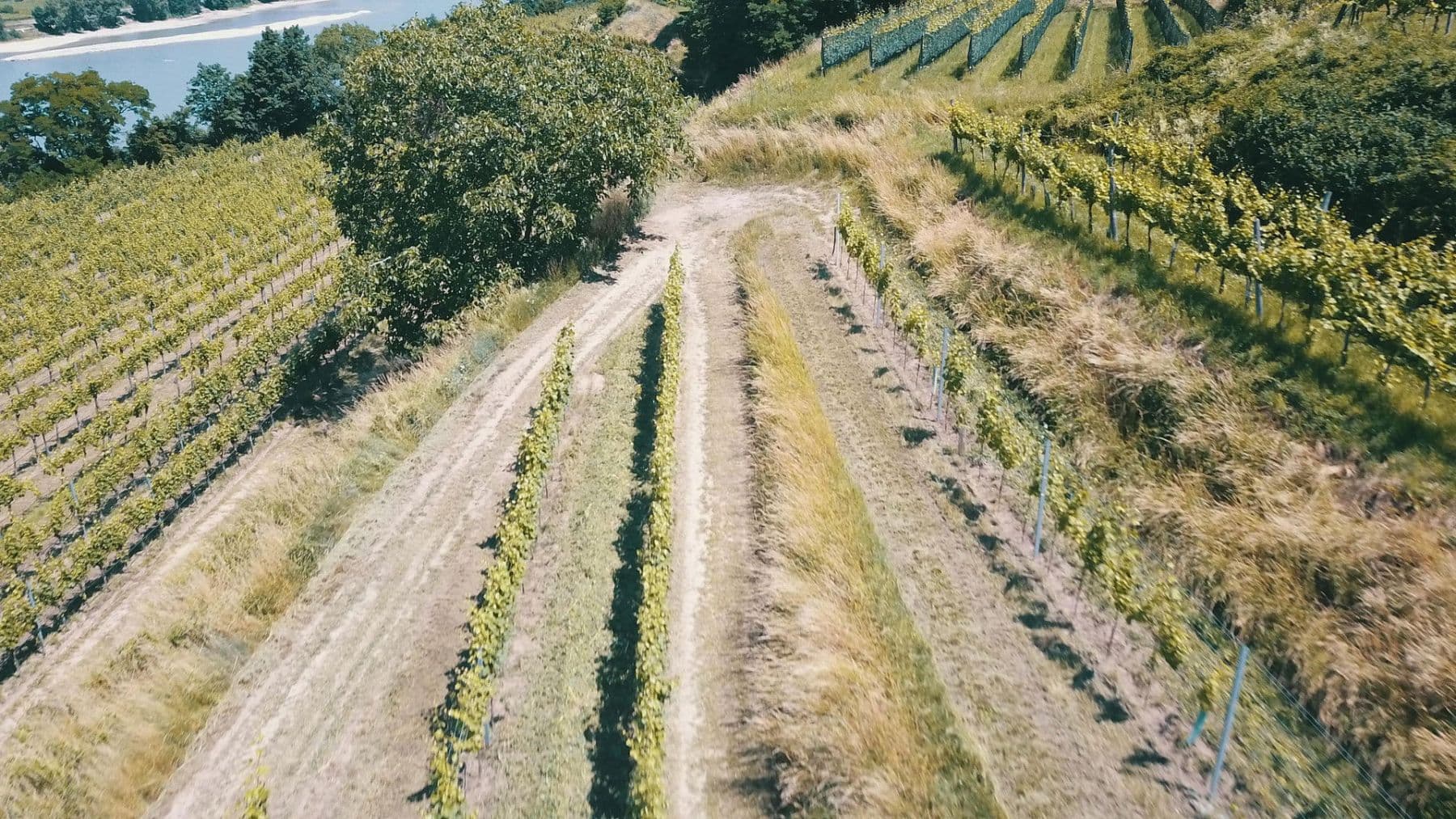 Predaj pozemku 3.596 m², Mitterarnsdorf, Dolné Rakúsko Predaj pozemku 3.596 m², Mitterarnsdorf, Dolné Rakúsko