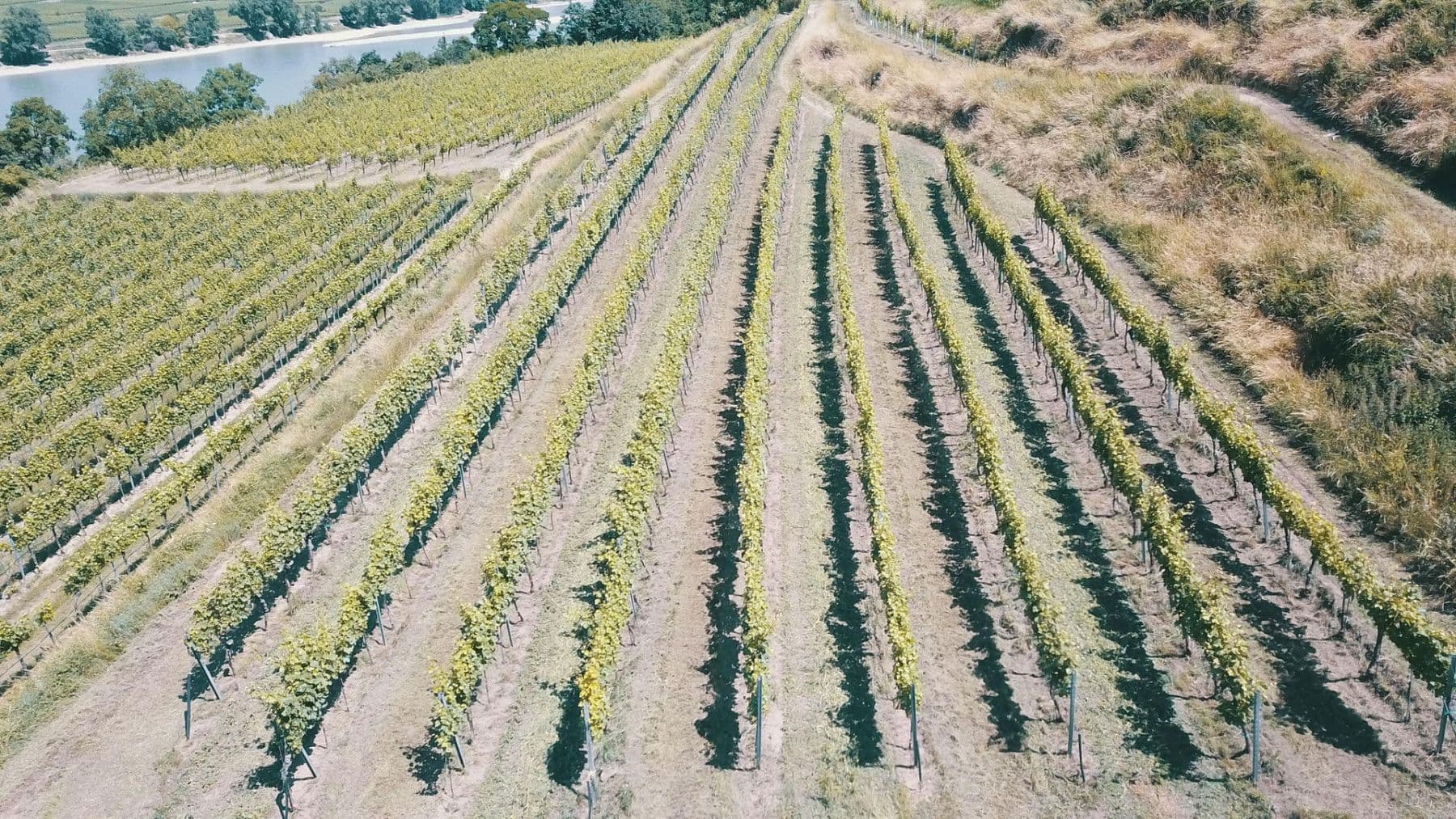 Predaj pozemku 3.596 m², Mitterarnsdorf, Dolné Rakúsko Predaj pozemku 3.596 m², Mitterarnsdorf, Dolné Rakúsko