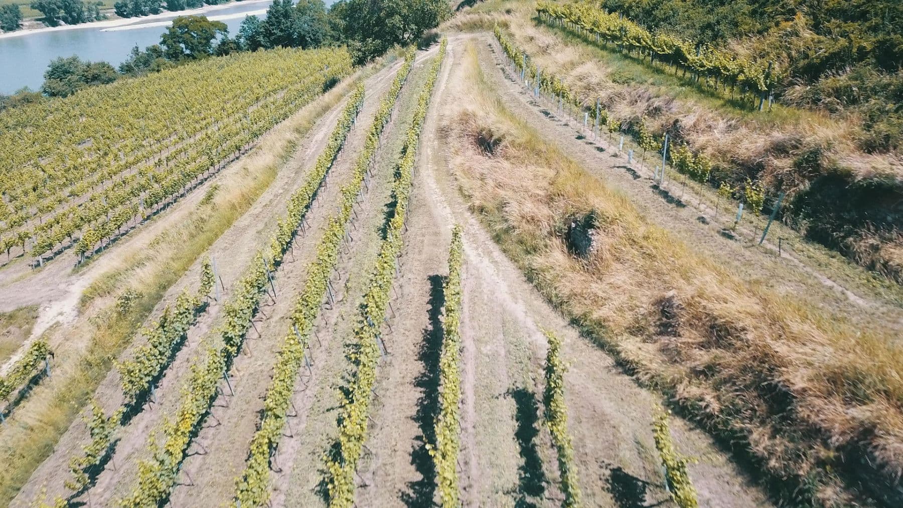 Predaj pozemku 3.596 m², Mitterarnsdorf, Dolné Rakúsko Predaj pozemku 3.596 m², Mitterarnsdorf, Dolné Rakúsko