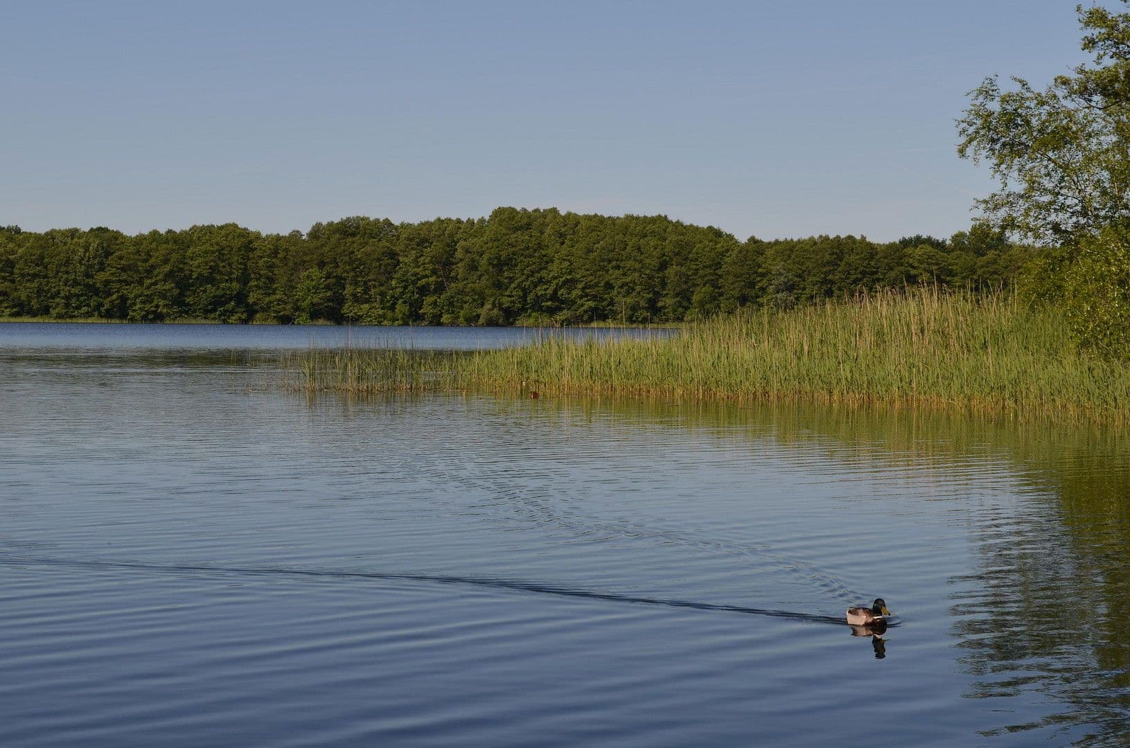 Predaj domu 89 m², pozemek 200 m², Wildgansstraße 71, Mirow, Meklenbursko-Predpomoransko Predaj domu 89 m², pozemek 200 m², Wildgansstraße 71, Mirow, Meklenbursko-Predpomoransko