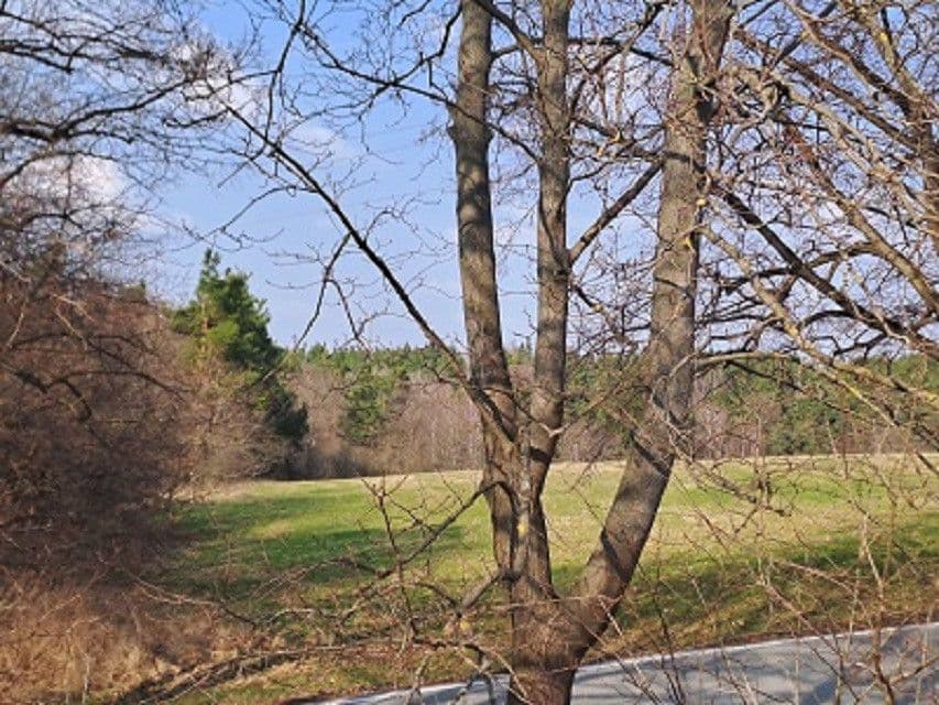 Predaj pozemku 980 m², Adamov, Jihočeský kraj Predaj pozemku 980 m², Adamov, Jihočeský kraj
