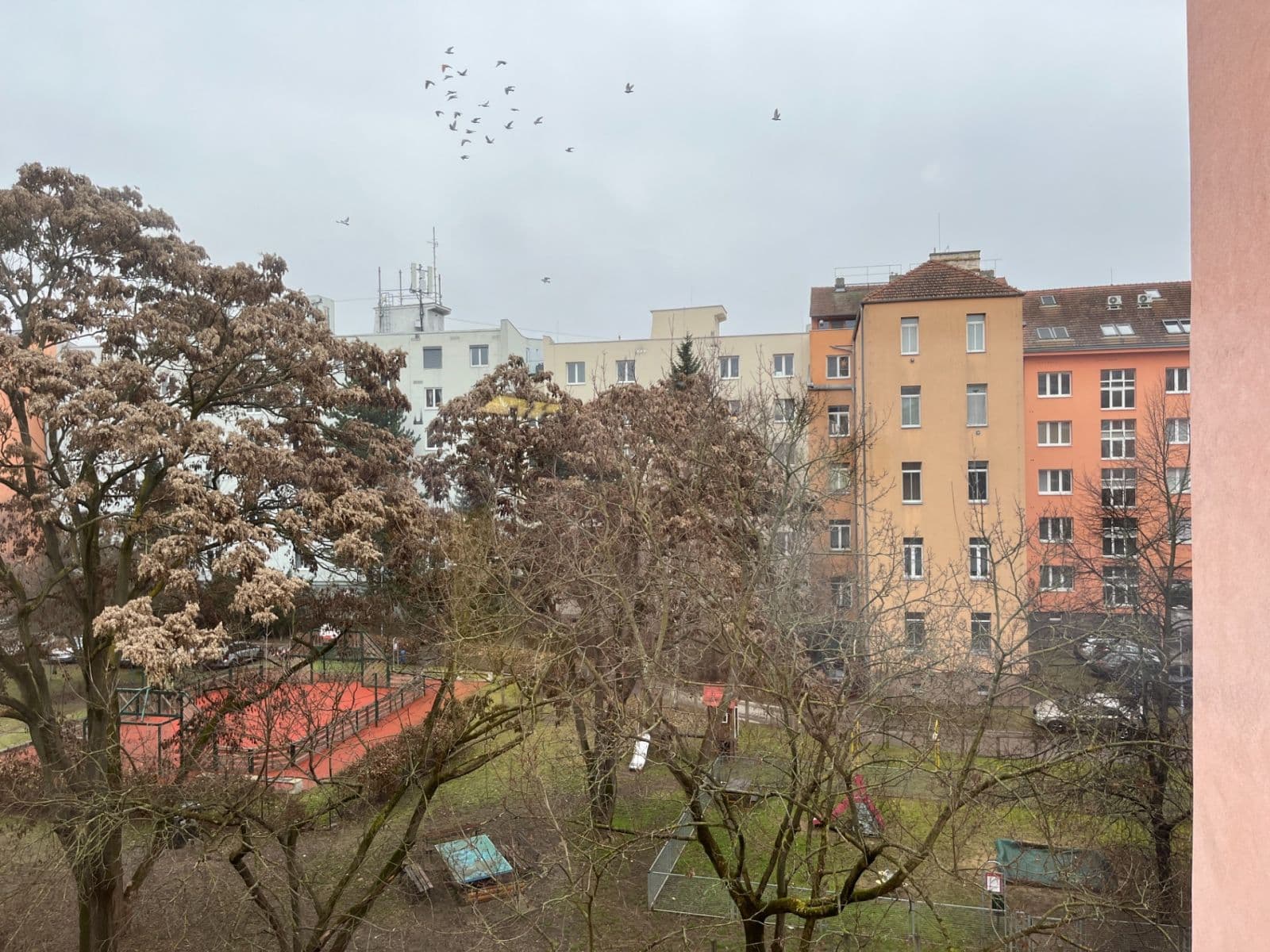 Prenájom bytu 1-izbový 42 m², Křížkovského, Brno, Jihomoravský kraj Prenájom bytu 1-izbový 42 m², Křížkovského, Brno, Jihomoravský kraj