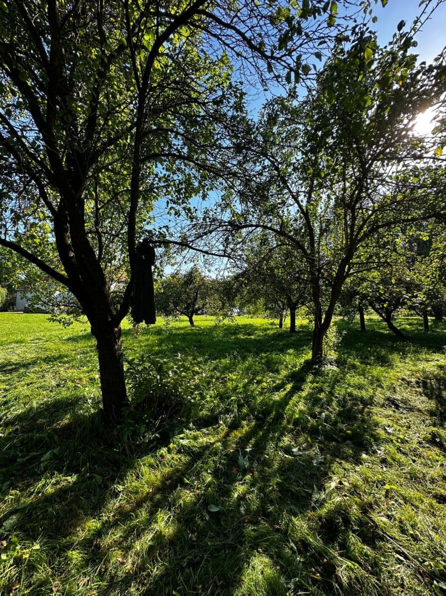 Predaj pozemku 2.549 m², Biskupice, Pardubický kraj Predaj pozemku 2.549 m², Biskupice, Pardubický kraj