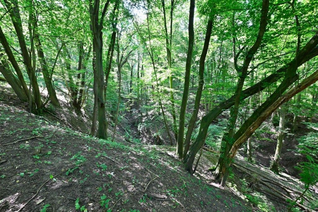 Predaj pozemku 3.400 m², Hřbitovní, Ústí nad Labem, Ústecký kraj Predaj pozemku 3.400 m², Hřbitovní, Ústí nad Labem, Ústecký kraj