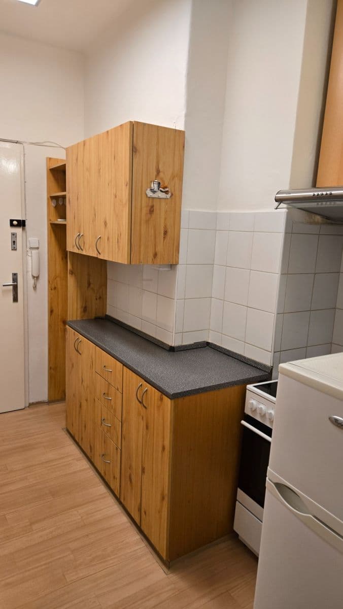 Prenájom bytu 1-izbový 30 m², Vrchlického, Praha, Praha Prenájom bytu 1-izbový 30 m², Vrchlického, Praha, Praha