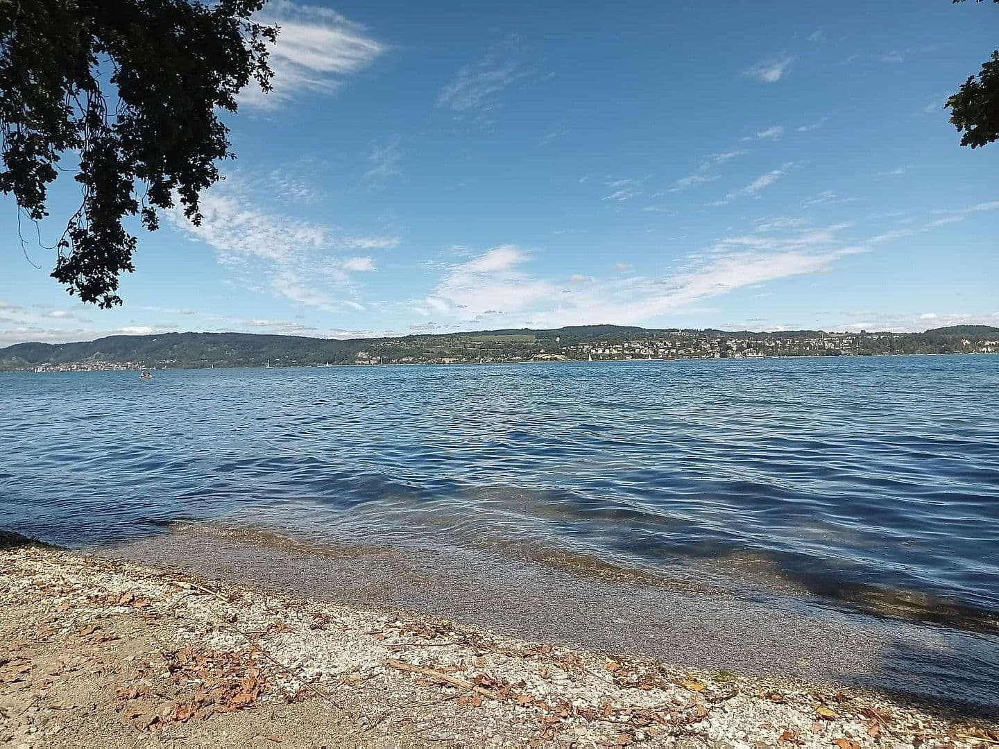 Prenájom bytu 1-izbový 38 m², Konstanz, Bádensko-Wurttembersko Prenájom bytu 1-izbový 38 m², Konstanz, Bádensko-Wurttembersko