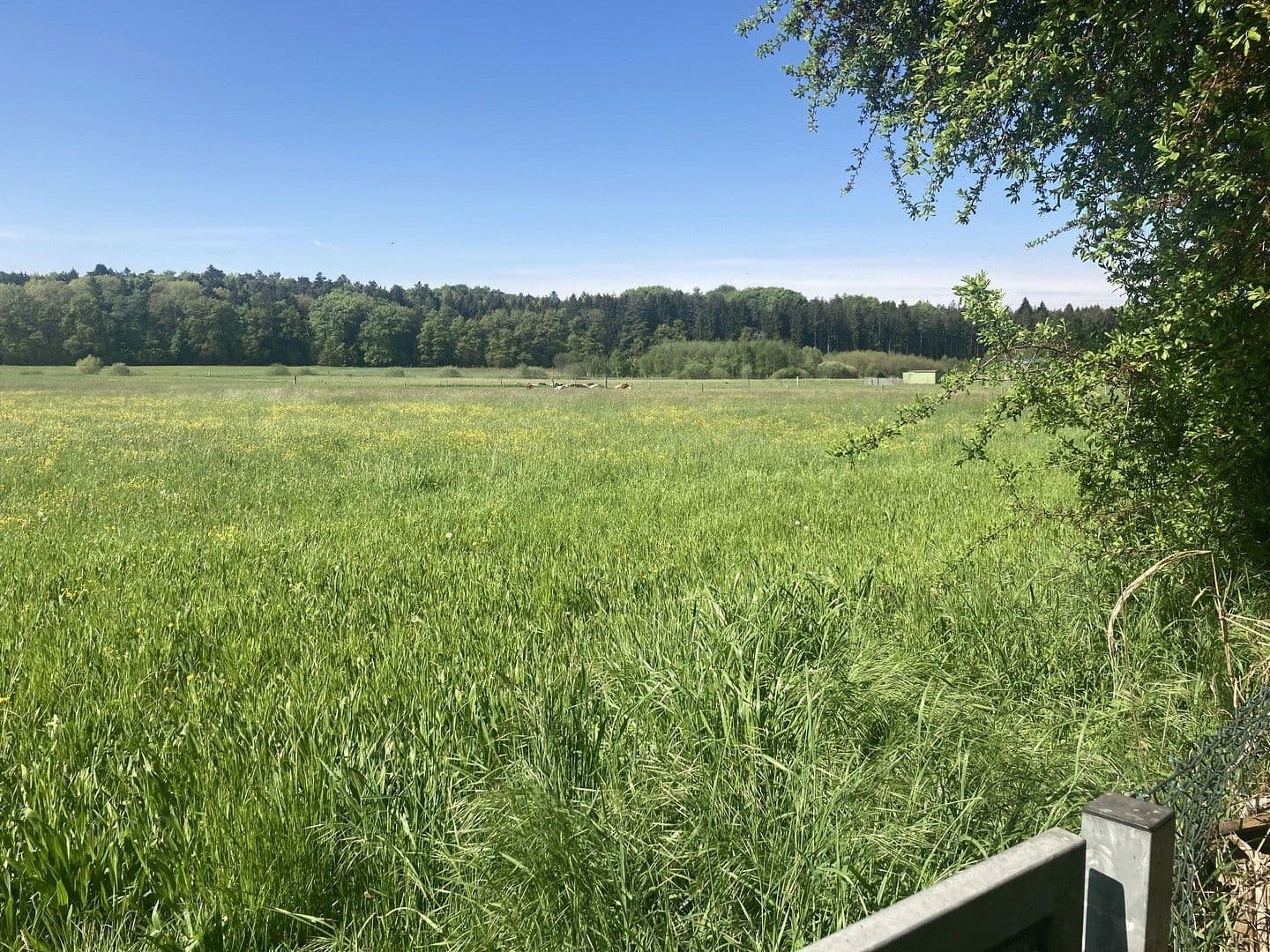 Prenájom domu 213 m², pozemek 1.193 m², Jägersteig 11, Schrobenhausen, Bavorsko Prenájom domu 213 m², pozemek 1.193 m², Jägersteig 11, Schrobenhausen, Bavorsko