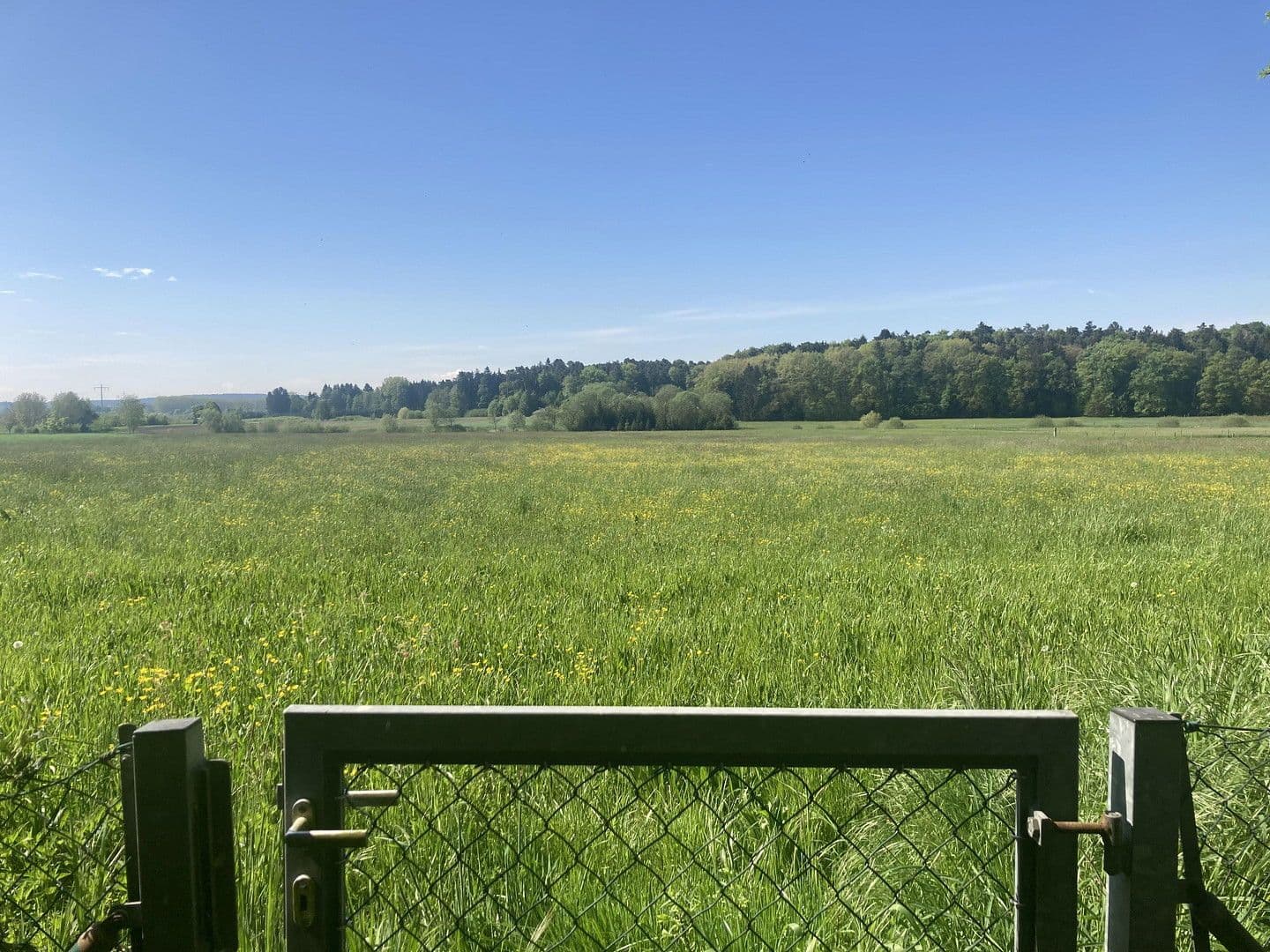 Prenájom domu 213 m², pozemek 1.193 m², Jägersteig 11, Schrobenhausen, Bavorsko Prenájom domu 213 m², pozemek 1.193 m², Jägersteig 11, Schrobenhausen, Bavorsko